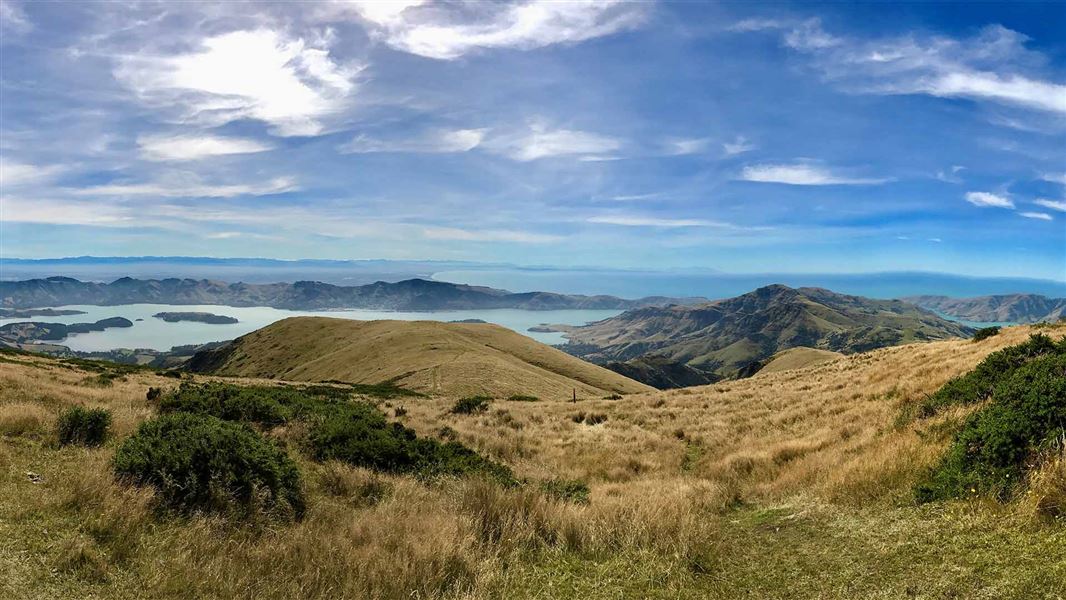 Te Ara Pātaka/Summit Walkway