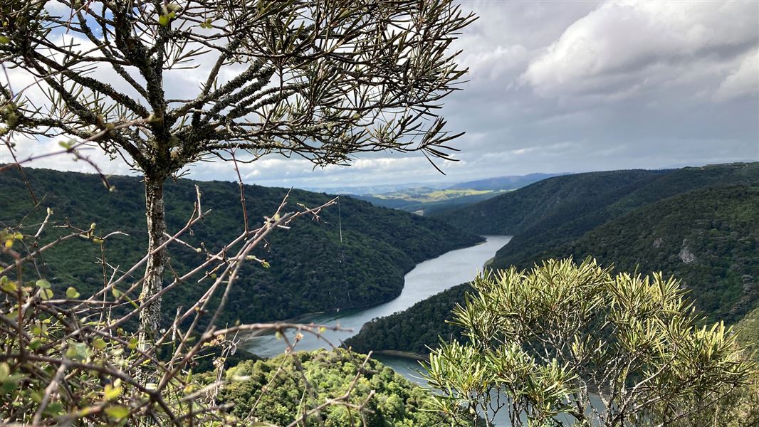 Taieri River Track, walk in Otago