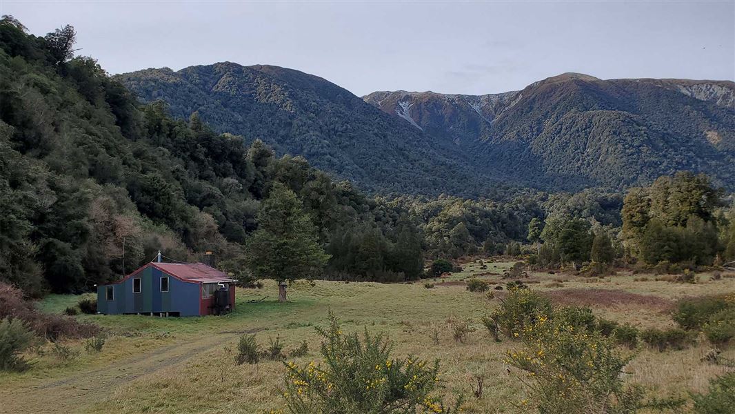 Taipo River Track to Harman Pass