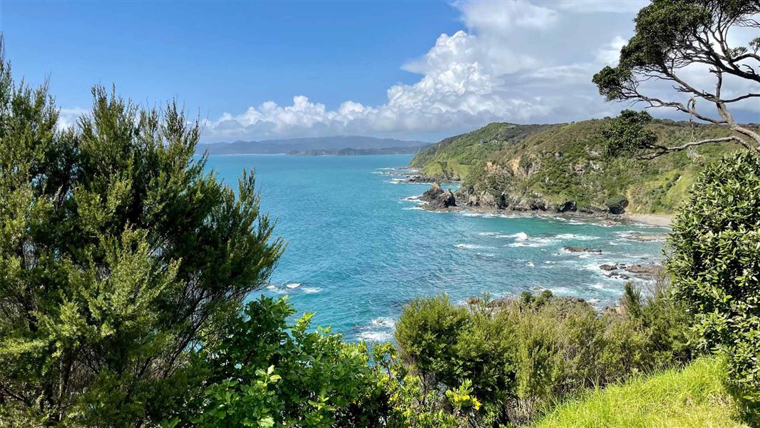 Tapeka Point Track