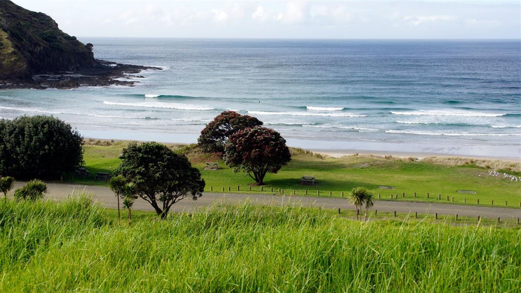 Taputaputa Campsite, campsite in Northland
