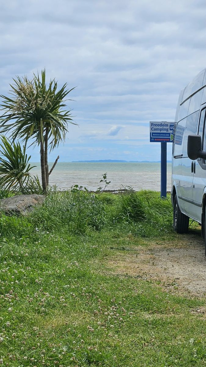 Tararū Beachfront North Reserve photos