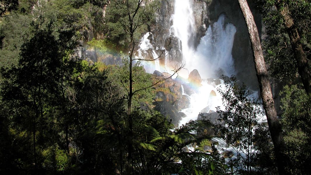 Tarawera Outlet to Falls Track