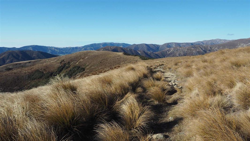 Tarn Hut tracks, walk in Canterbury