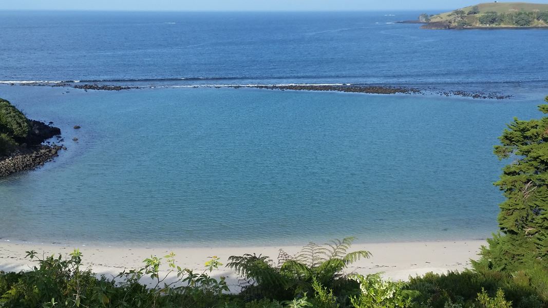 Taronui Bay Recreation Reserve Track