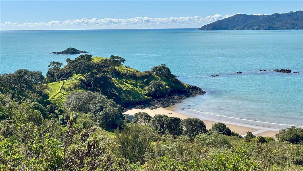 Taumarumaru Scenic Reserve Walk, walk in Northland