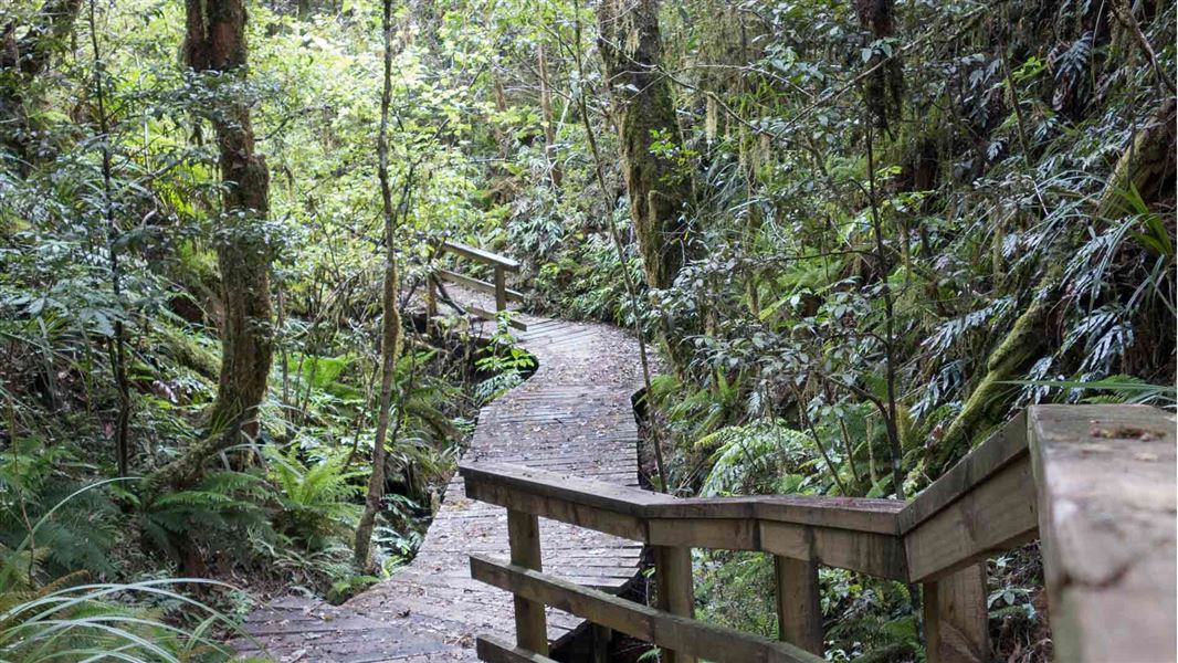 Taurewa Track