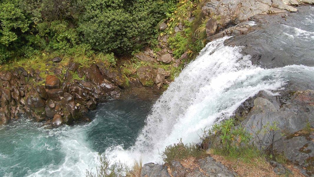Tawhai Falls Track