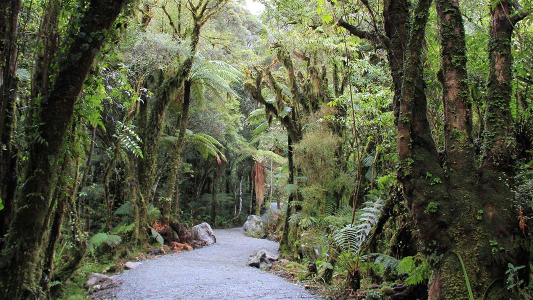 Te Ara a Waiau Walkway/Cycleway