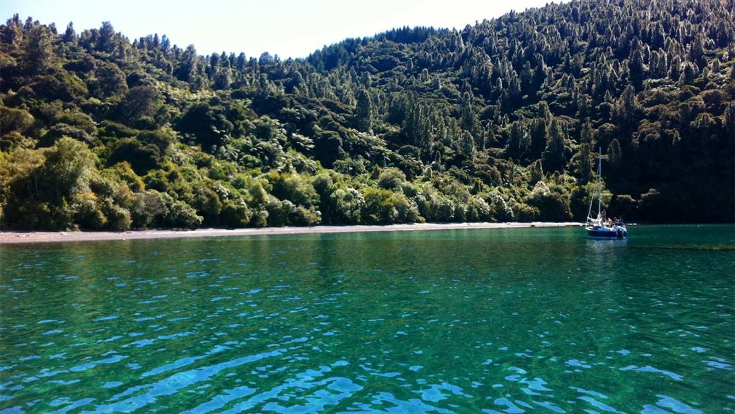 Te Hapua Bay Track