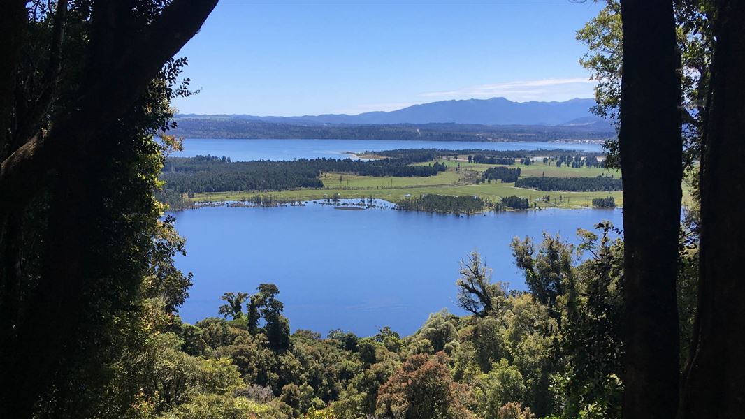 Mount Te Kinga Track/Ara O Te Kinga
