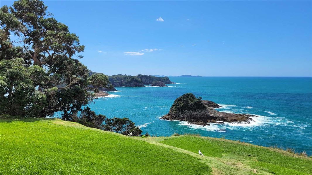 Hereheretaura Pā Short Walk