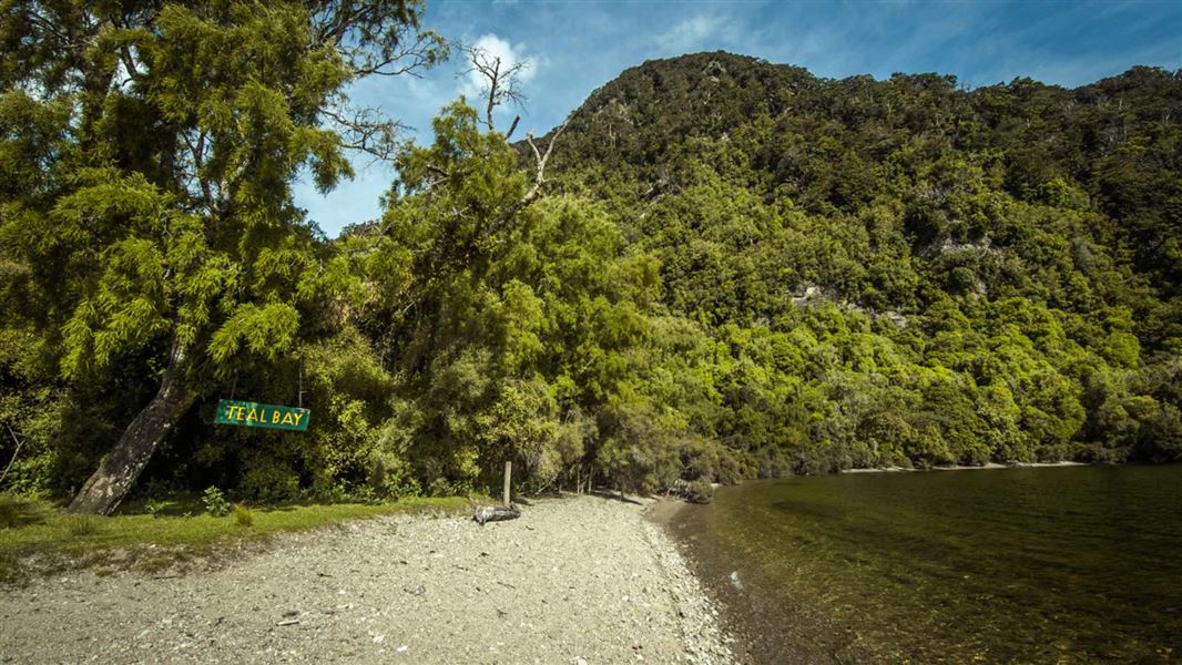 Teal Bay to South Coast Track
