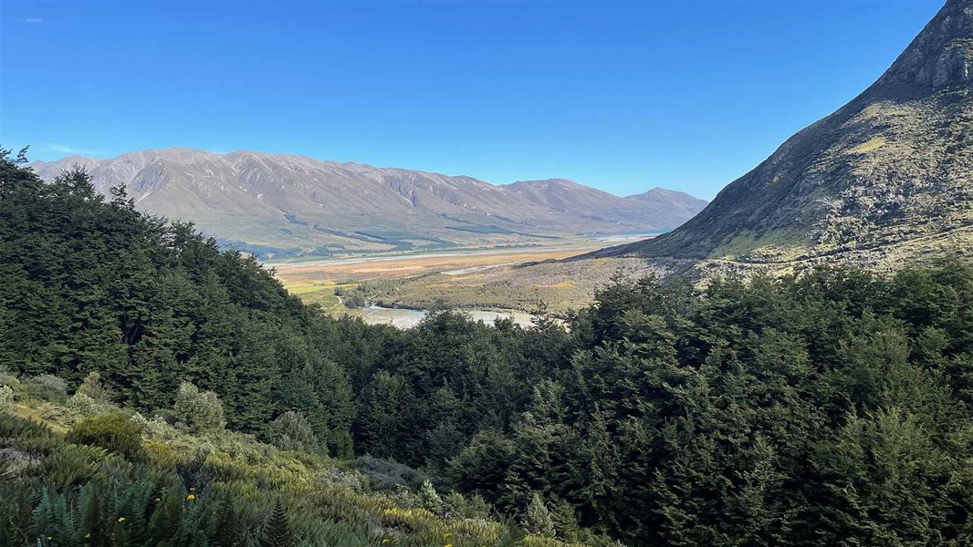 Temple Viewpoint Track