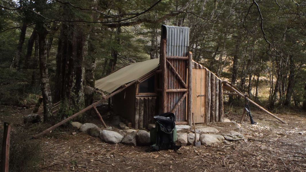 Tent Camp, hut in Tasman