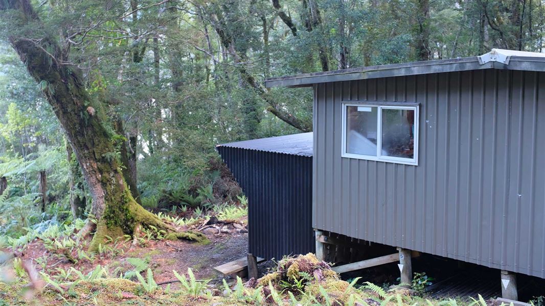 The Gut Hut, hut in Southland
