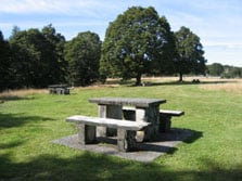 Thicket Burn Campsite, campsite in Southland