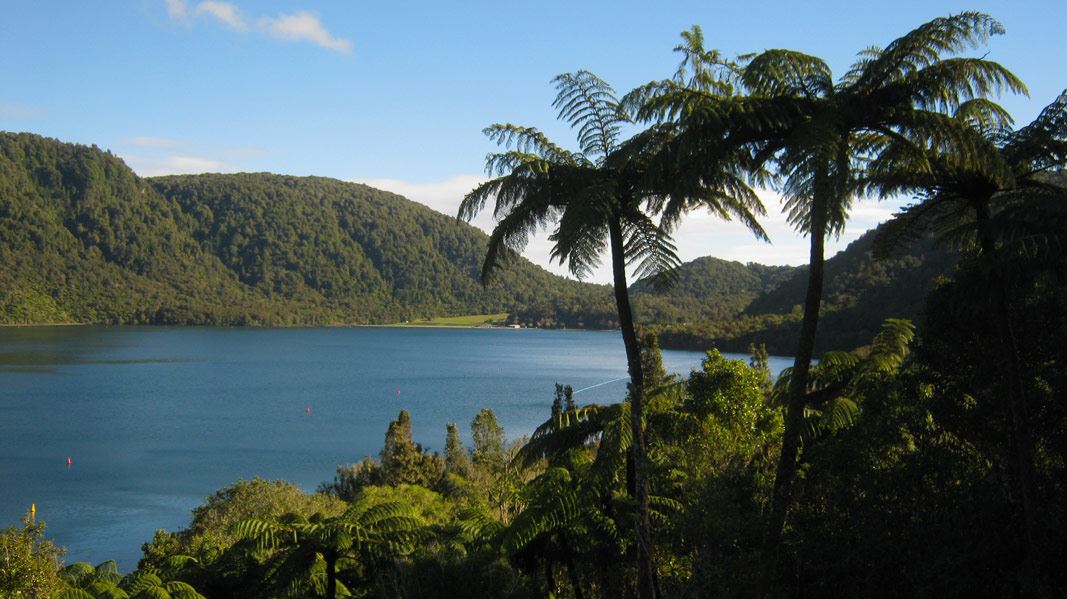 Tikitapu Nature Walk