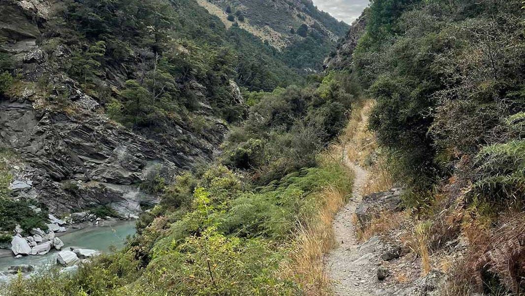 Tīmaru River Tracks, walk in Otago