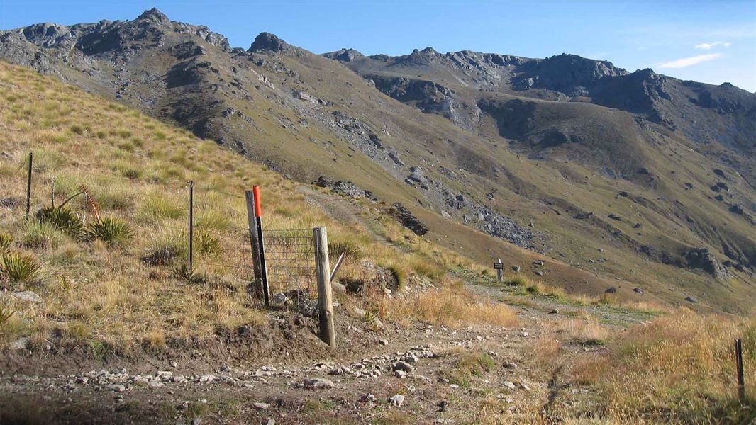 Tinwald Burn Ridge Track