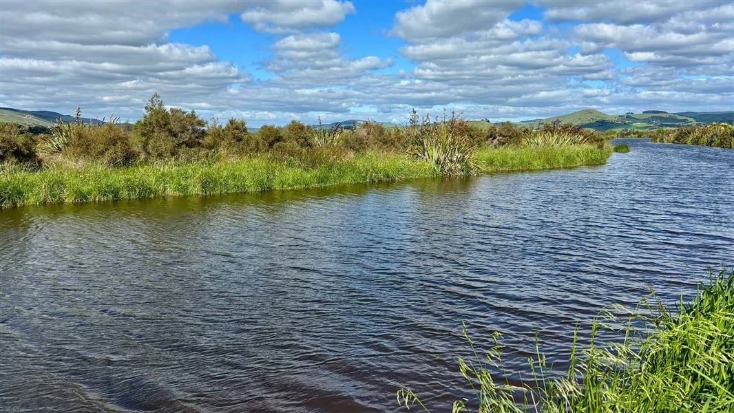 Titri Creek Walking Track