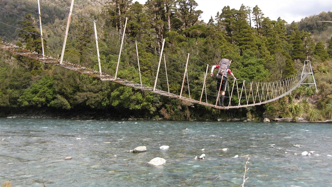 Toaroha, Hokitika, Lower Whitcombe Track