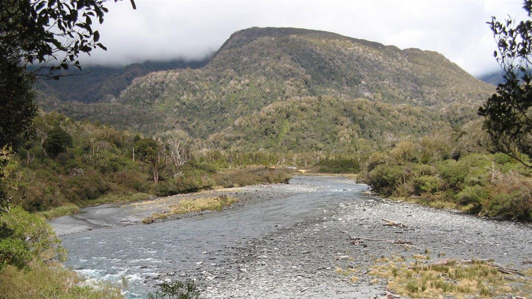 Toaroha/Zit Saddle/Kokatahi/Lathrop Saddle/Styx River Route