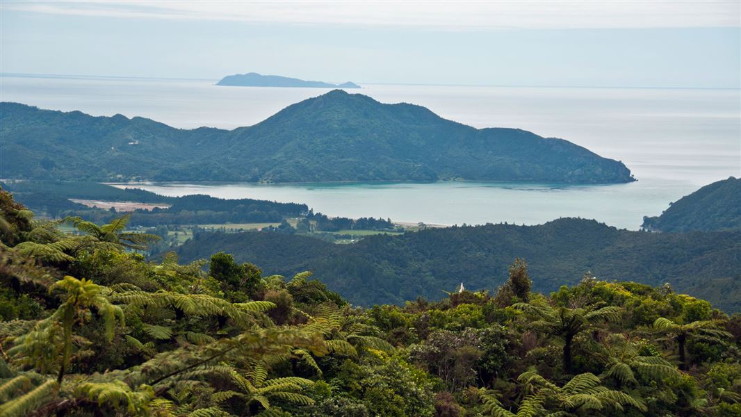 Tokatea Lookout Walking Track