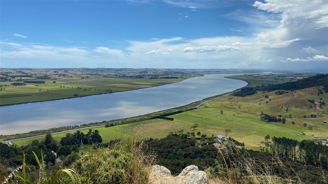 Tokatoka Scenic Reserve Track, walk in Northland
