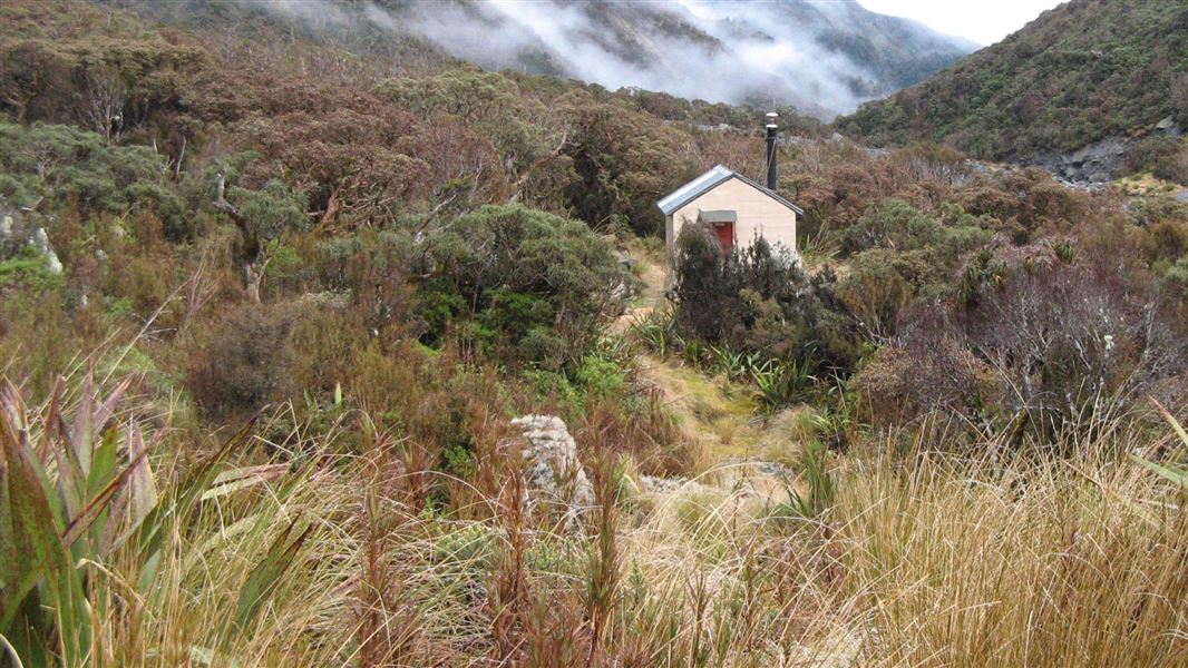 Top Toaroha Hut, hut in West Coast