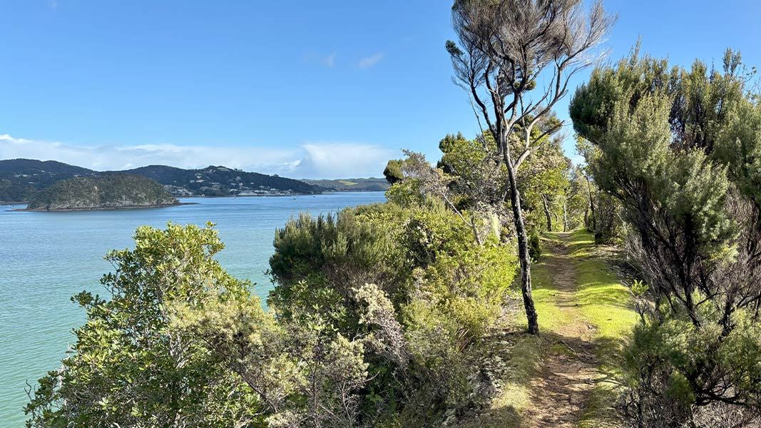 Toretore Island Walk