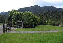Totara Flat Campsite: Coromandel, campsite in Waikato