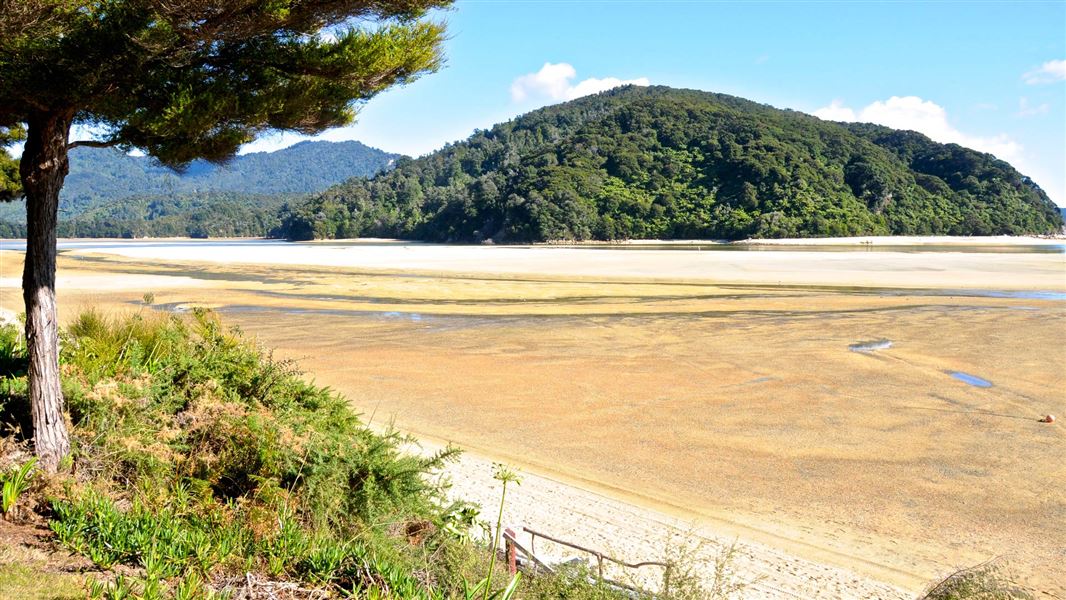Tōtaranui to Awaroa Bay
