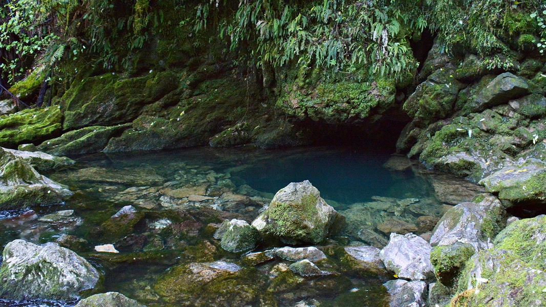 Te Puna Wai o Riuwaka/Riuwaka Resurgence