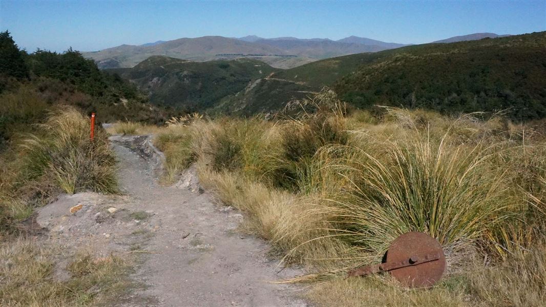 Track to Woolshed Creek Hut