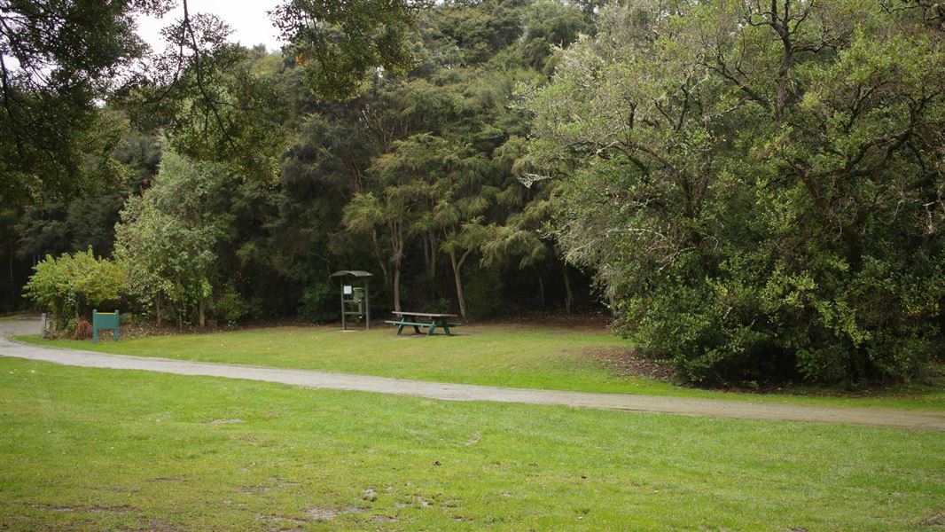 Trotters Gorge Campsite, campsite in Otago