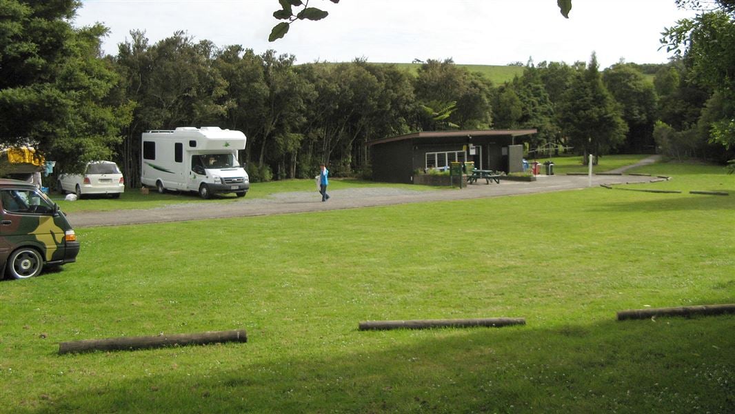 Trounson Kauri Park Campground, campsite in Northland
