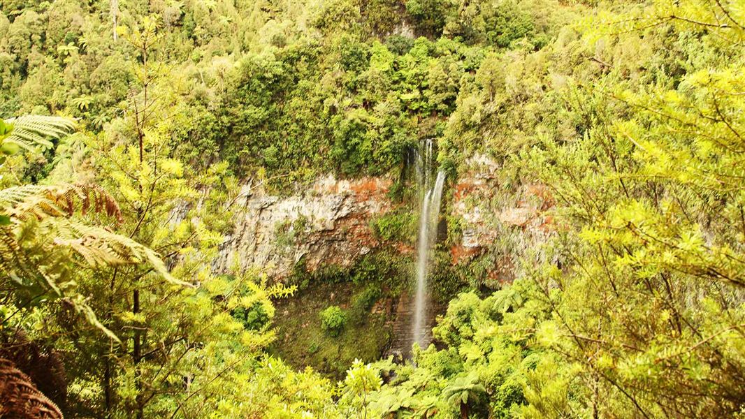 Tupapakurua Falls Track
