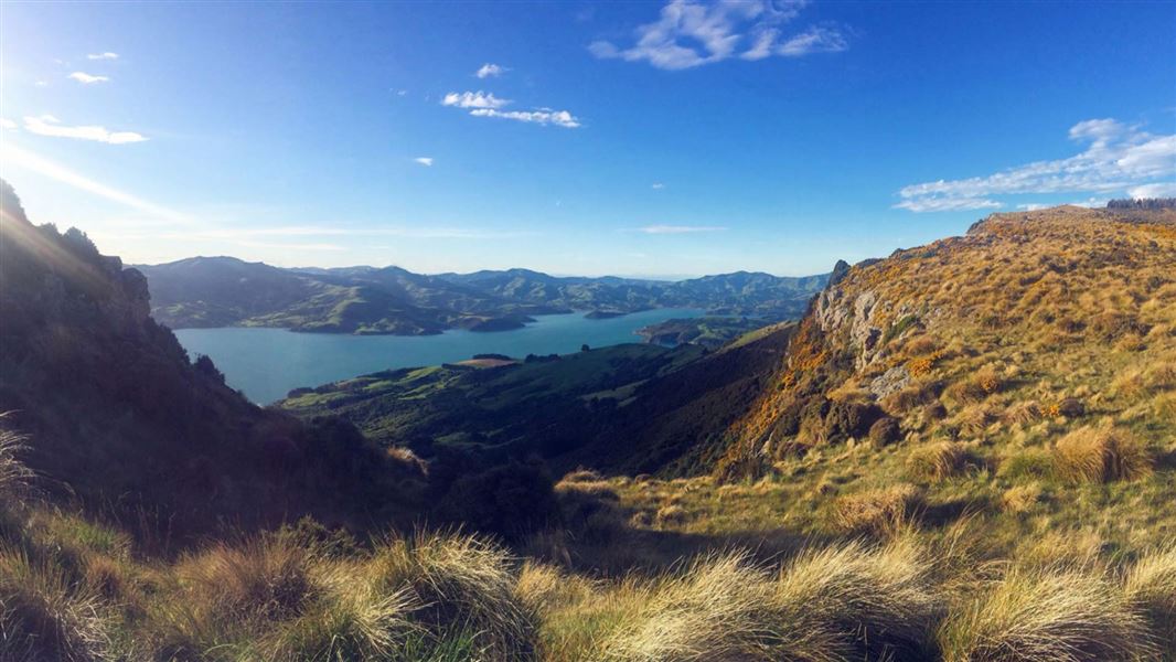 Tutakakahikura Scenic Reserve Track