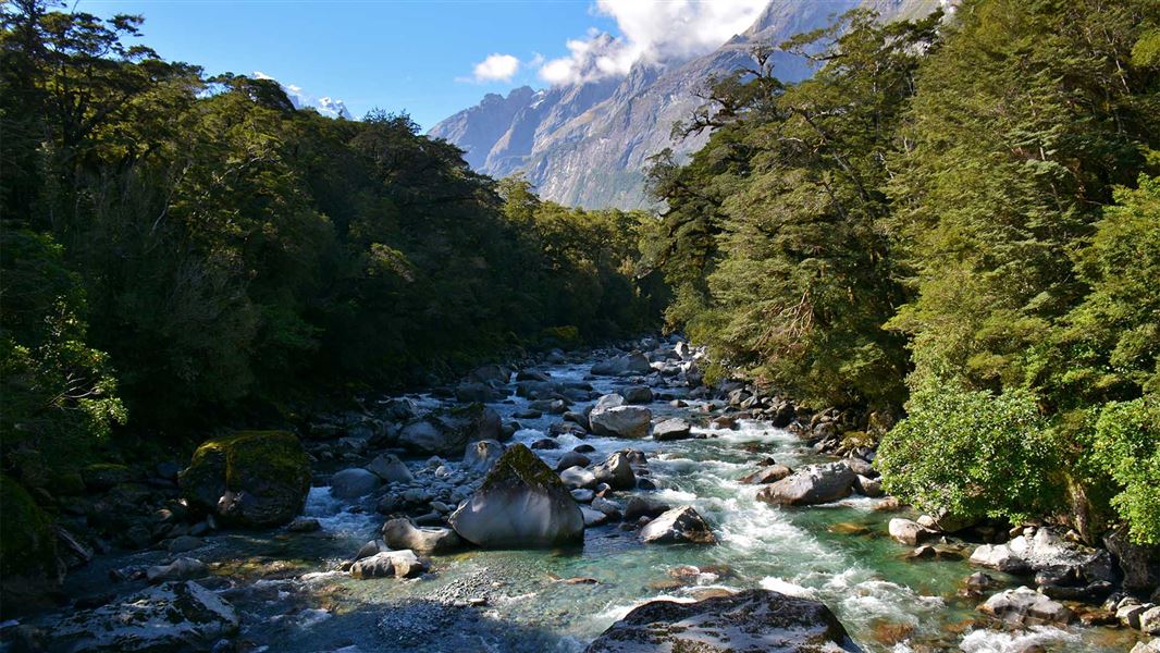 Tūtoko Valley Route