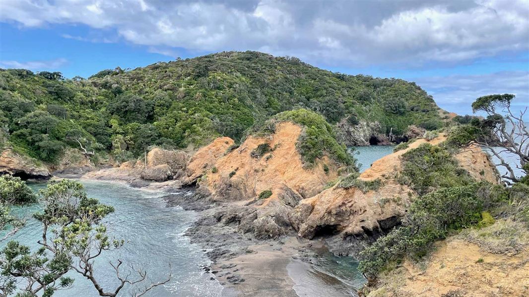 Tutukaka Head tracks