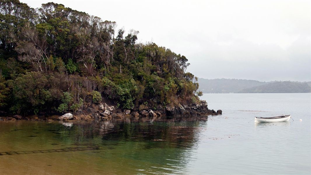 Ulva Island/Te Wharawhara walking tracks
