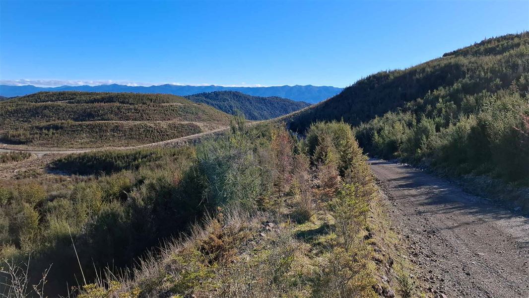 Union Creek Track