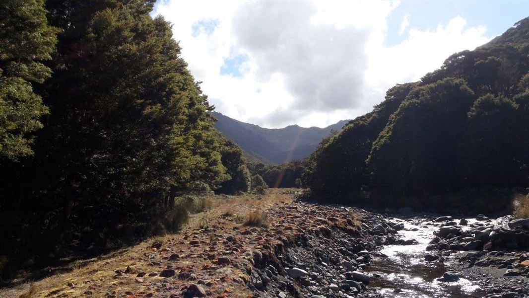 Upper Aparima/Spence Burn Route