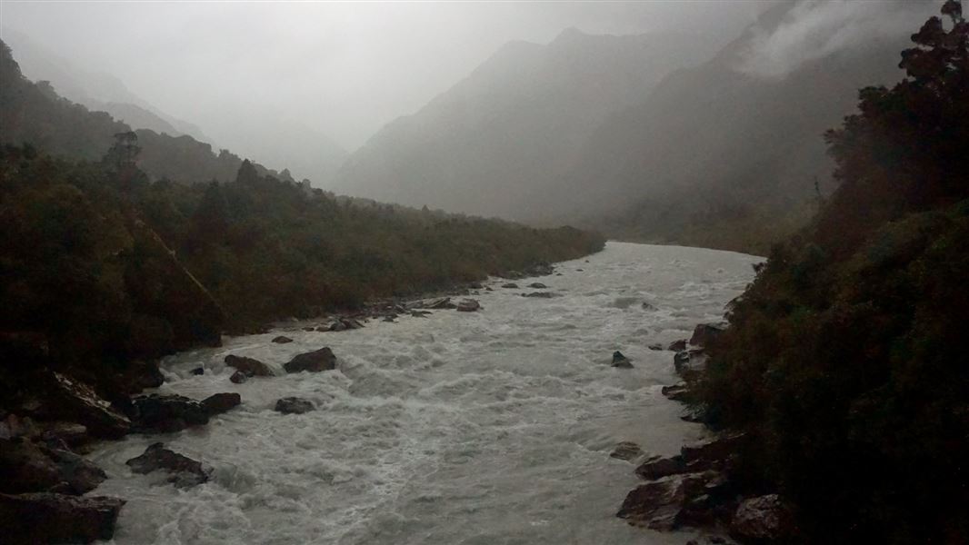 Upper Copland Valley Track