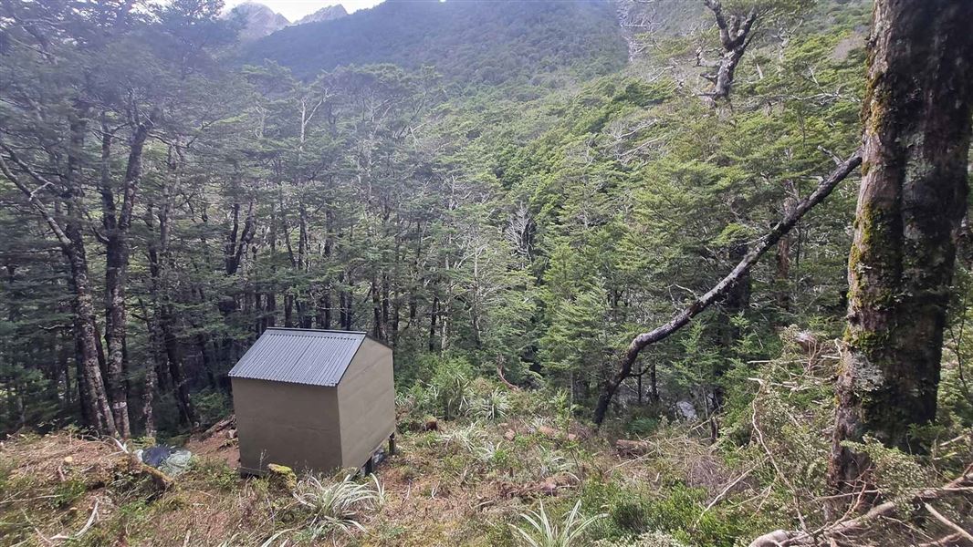 Upper D'Urville Hut, hut in Tasman