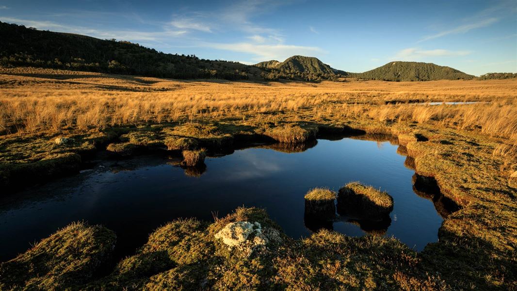 Upper Matiri Valley and 1000 Acre Plateau tramping tracks