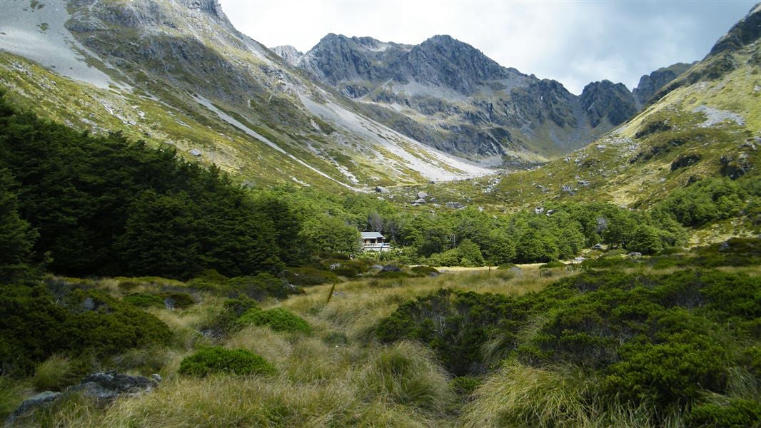 Upper Travers Hut, hut in Tasman