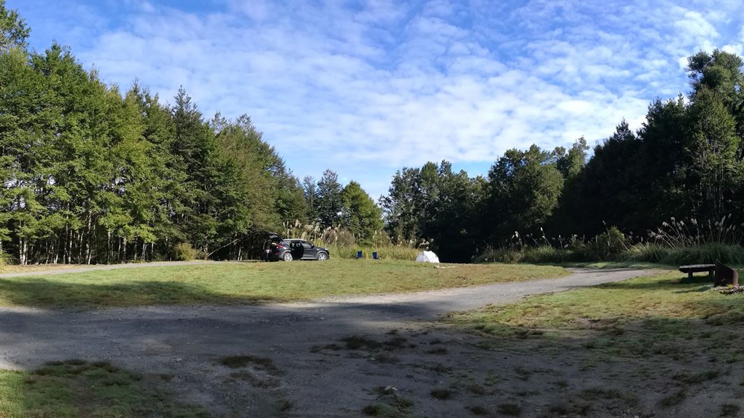 Urchin Campsite, campsite in Waikato