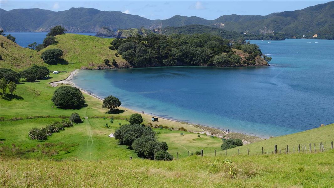 Urupukapuka Bay Campsite, campsite in Northland